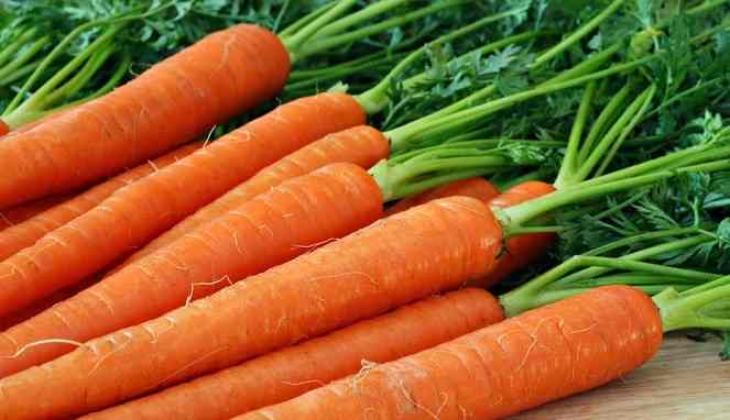 Hasil gambar untuk Wortel
